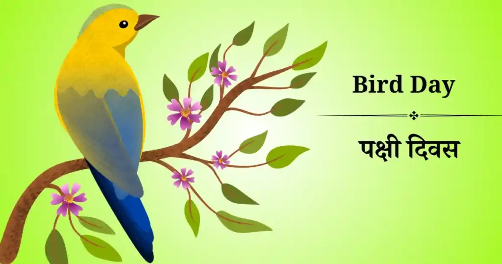 bird day