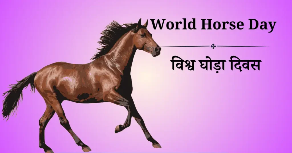 world horse day