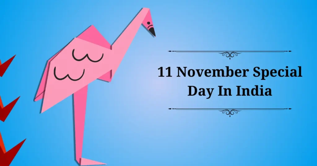 11 november special day in india