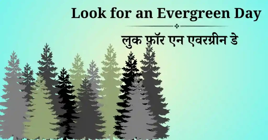 look for an evergreen day
